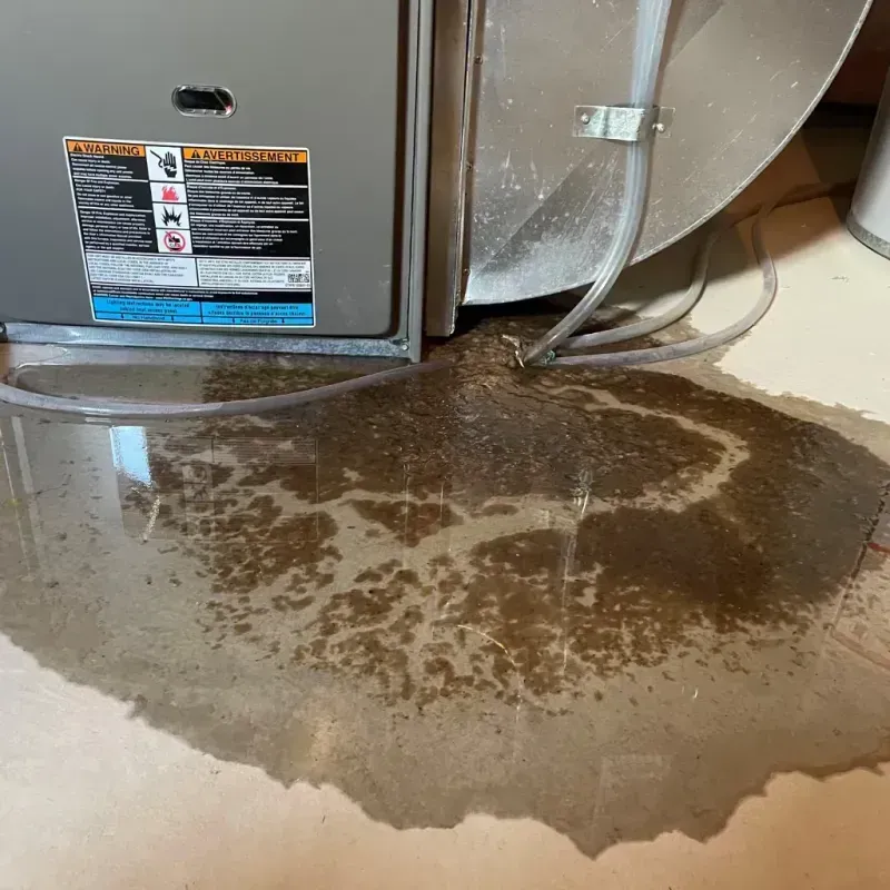 Appliance Leak Cleanup in Hollywood, CA